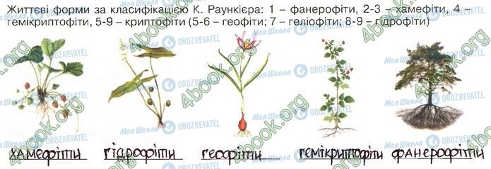 ГДЗ Биология 11 класс страница Стр.9 (2)